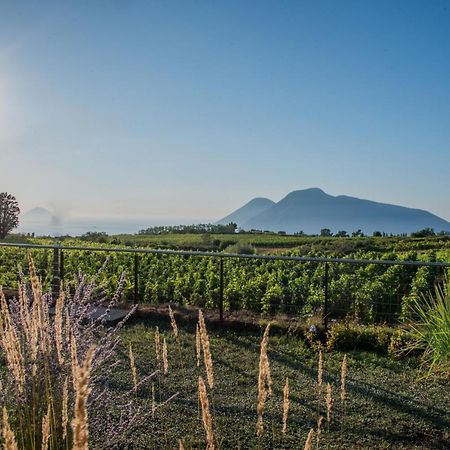 Tenuta Di Castellaro Winery & Resort Lipari Kültér fotó