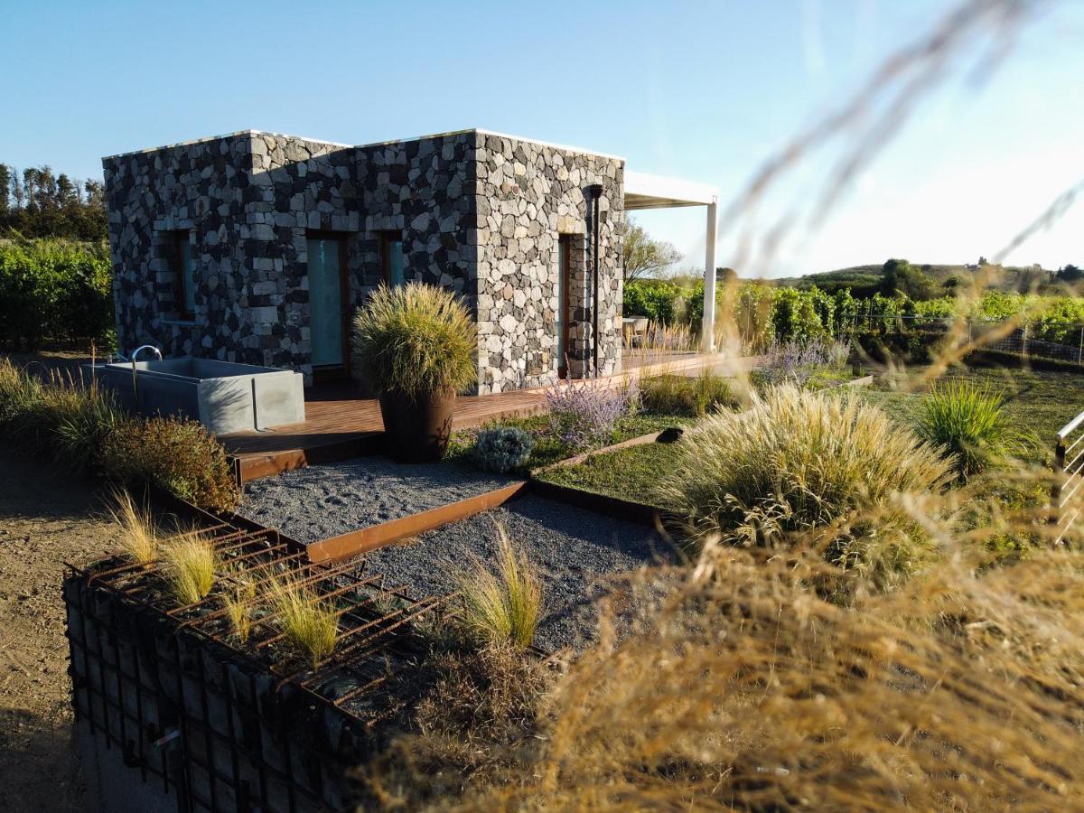 Tenuta Di Castellaro Winery & Resort Lipari Kültér fotó