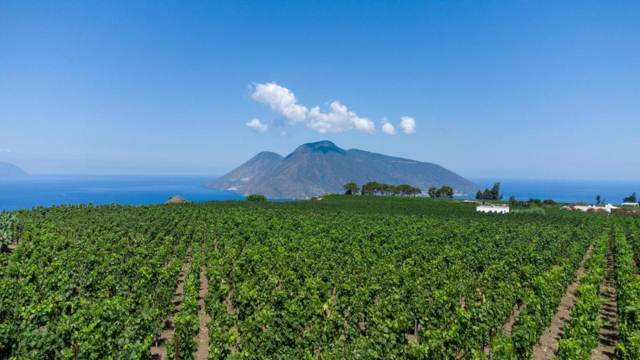 Tenuta Di Castellaro Winery & Resort Lipari Kültér fotó